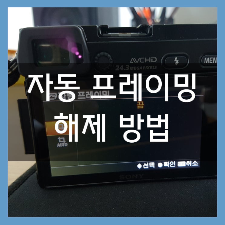 소니 A6000 자동 프레이밍(자동 크랍) 기능 해제 방법