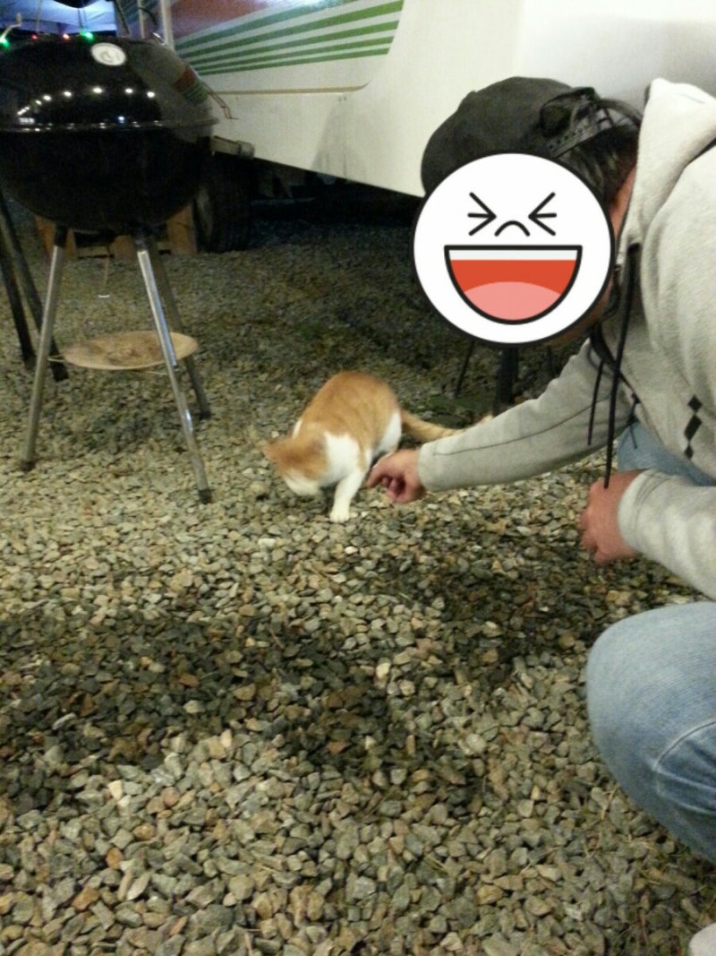 잠이 많아지는 이유 하루종일 졸려요 : 네이버 블로그