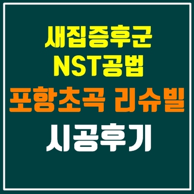 포항 초곡 계룡 리슈빌 새집증후군 NST공법 시공 후기
