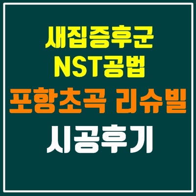  포항 초곡 계룡 리슈빌 새집증후군 NST공법 시공 후기
