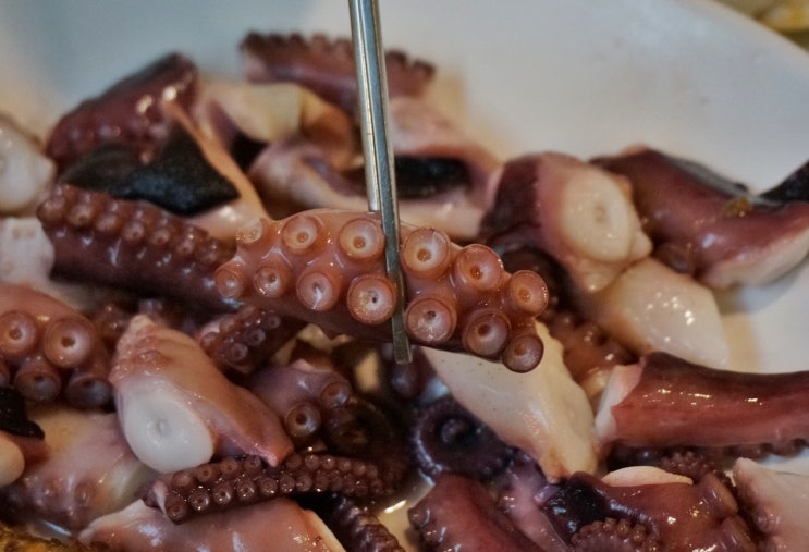  사당역 근처 맛집 으로 유명한 통영해물보쌈!