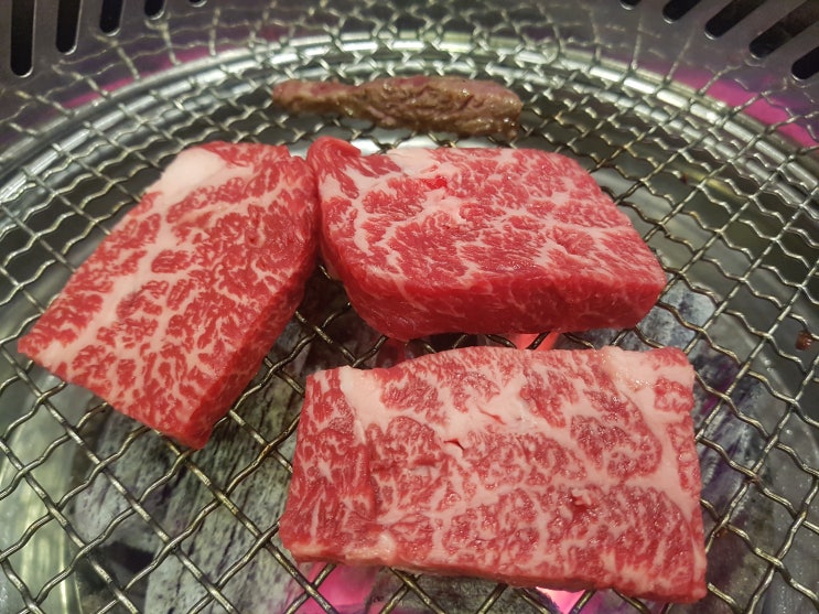 헤이리맛집 한우정육식당 전국목장연합 헤이리맛집 한우정육식당 전국목장연합