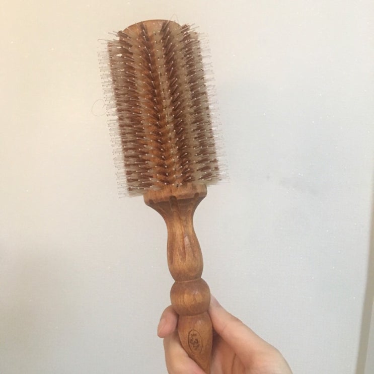  쭈드레 대왕롤빗 10호