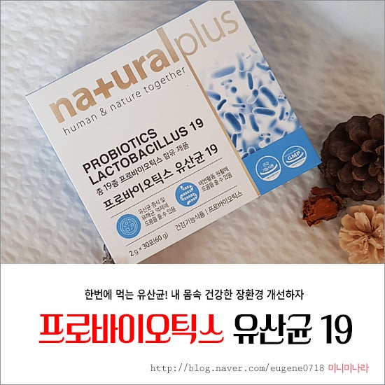 프로바이오틱스 유산균 19 네츄럴플러스 우리가족 장환경 개선