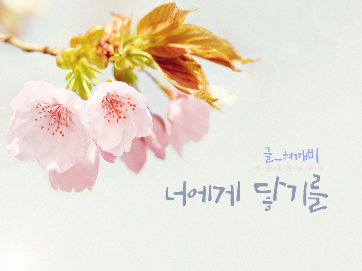  [ 빅스 빙의글 / 홍빈 빙의글 ] 너에게 닿기를 14