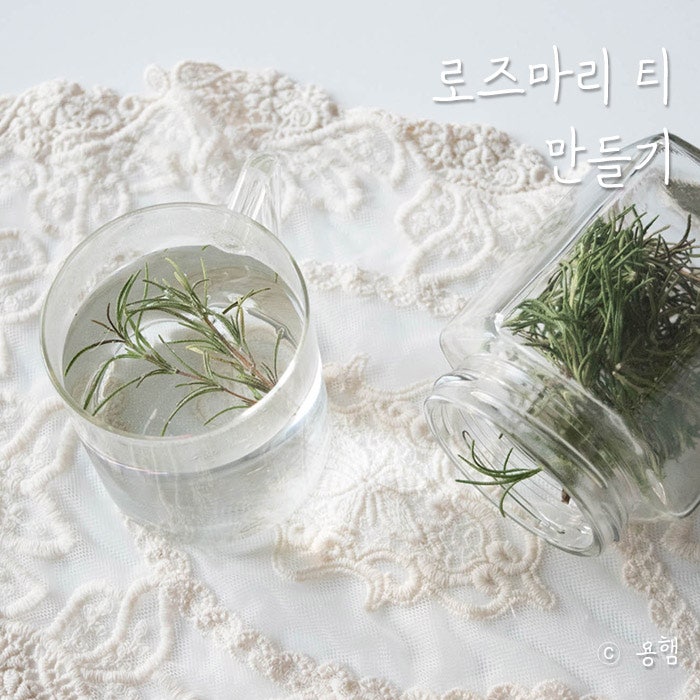 가장 좋아하는 콤부차 레시피 세 번째 / 로즈마리 콤부차