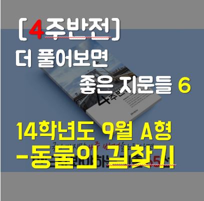  [4주반전] 더 풀어보면 좋은 지문들 6 : 동물의 길찾기