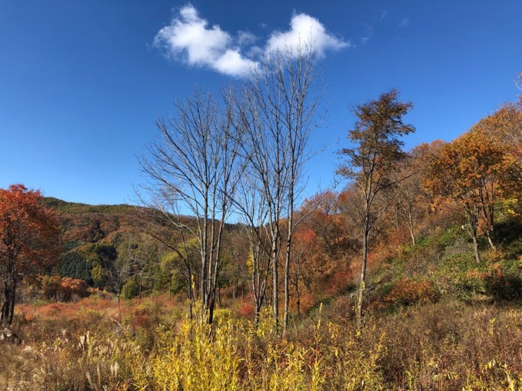  2018.10.19.