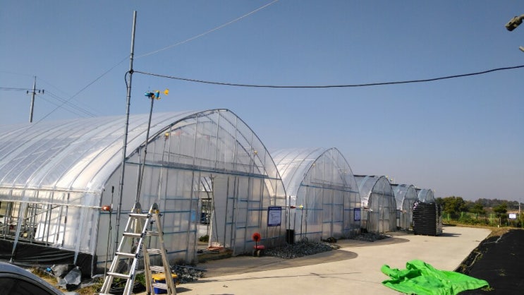  [#CES탄소섬유난방, #음성군농업기술센터]#차세대한국형스마트팜온실난방, #딸기촉성품종, #양액재배기술정립