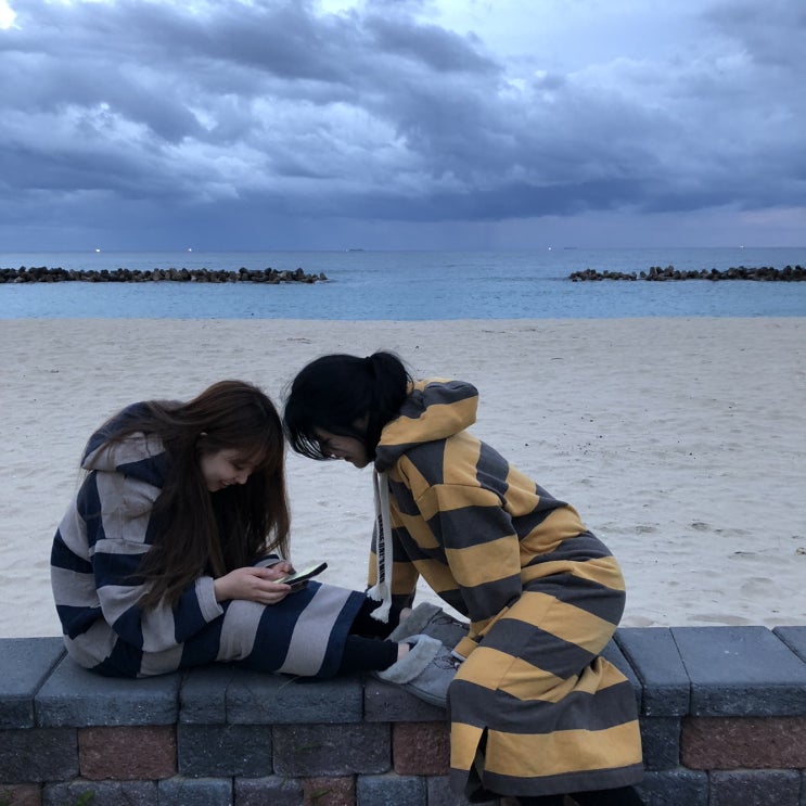  울진 캠핑장 추천![구산해수욕장 캠핑장]