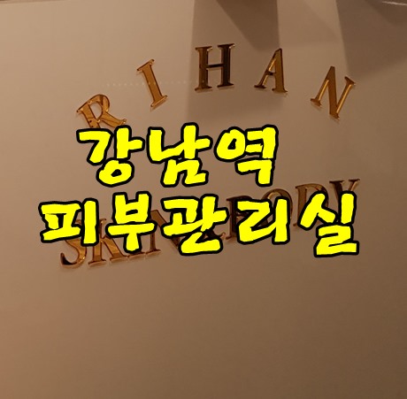  강남역피부관리실 보습관리는 이곳이 잘해요.