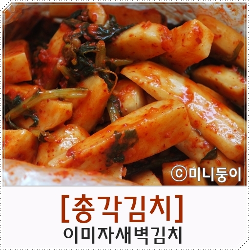  맛있는 김치 주문! 내아들의픽 +이미자새벽김치
