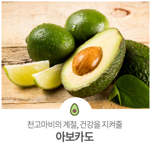  천고마비의 계절, 나의 건강을 지켜줄 ‘아보카도’