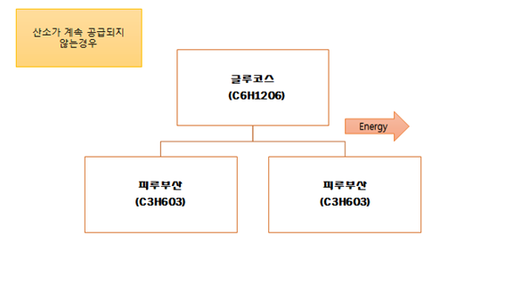 인체에너지시스템/무산소에너지(ATP-PC/젖산시스템)/유산소에너지 : 네이버 블로그 인체에너지시스템/무산소에너지(Atp-Pc/젖산시스템)/유산소에너지 : 네이버 블로그