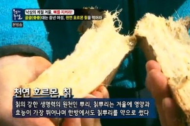 [갈근] 칡뿌리. 갈근의 효능 및 부작용 : 네이버 블로그