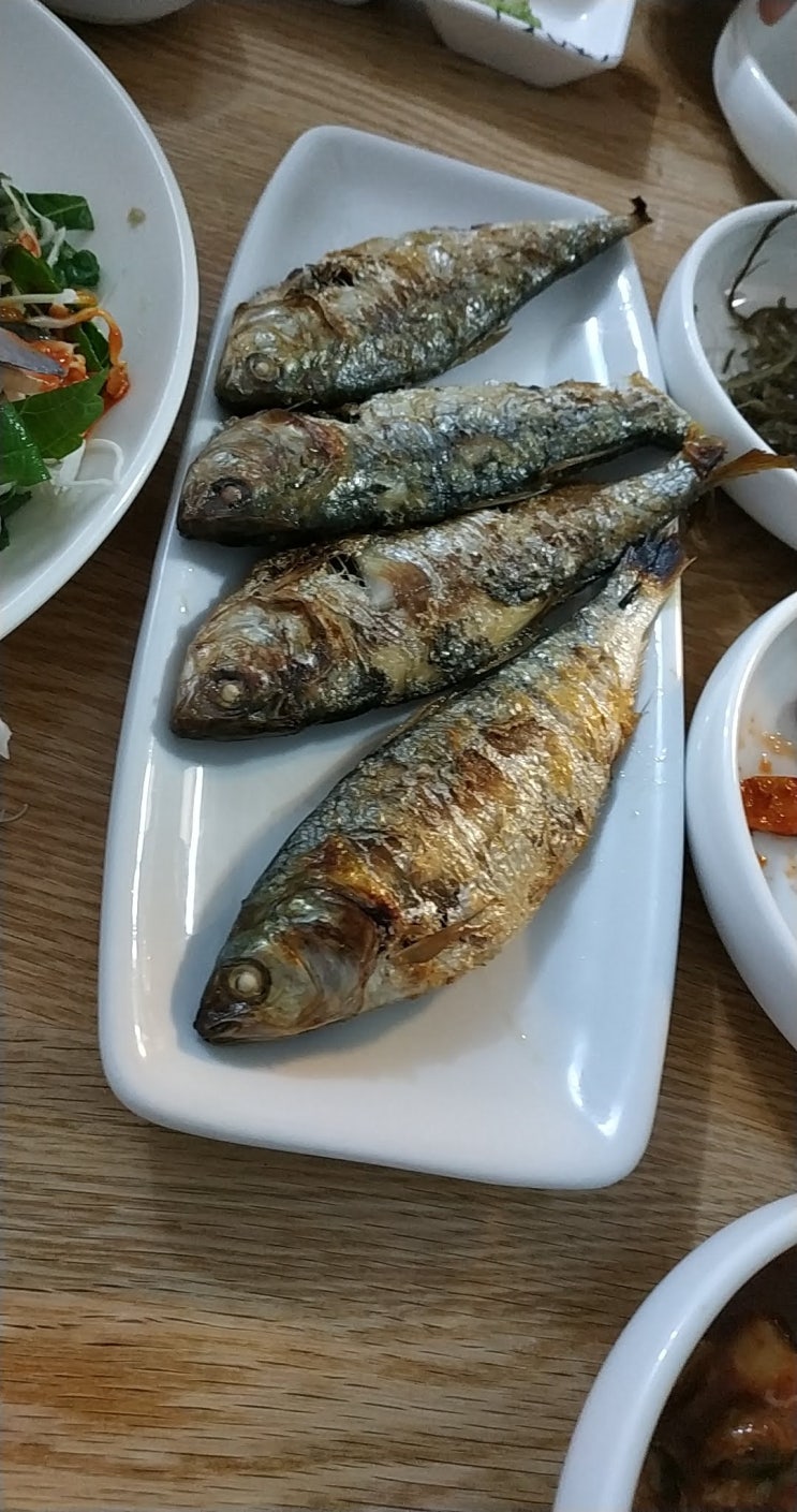  삼성동 목포명가 가을전어세트 (전어회, 전어무침, 전어구이)