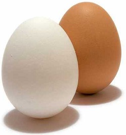 [회전 달걀의 패러독스] 삶은 달걀과 날달걀 구별법