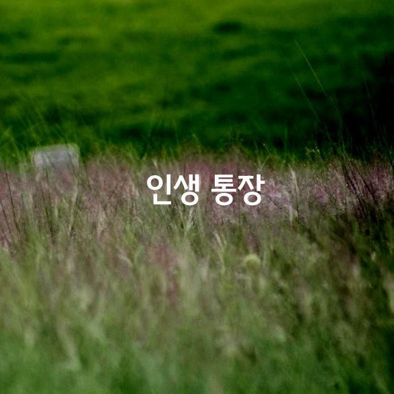  인생 통장