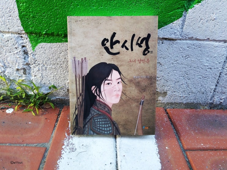 역사소설 안시성 그녀 양만춘, 홍남권 온하루출판사