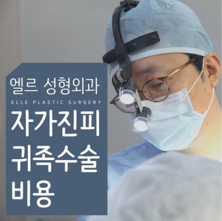  귀족수술비용 팩트는요