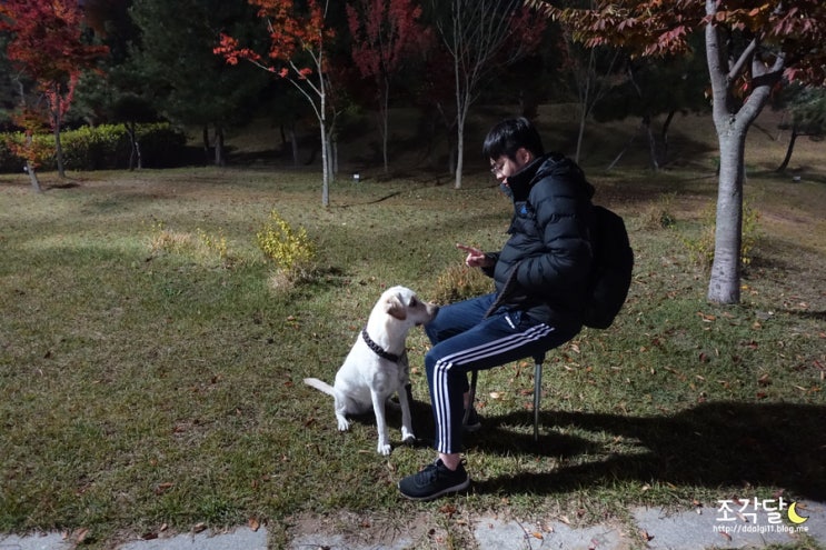  경량체어/ 휴대용의자 찾고 있다면 기발한 외발체어, 몬테라 :: 새들유니2