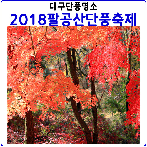  2018팔공산단풍축제.대구단풍.가볼만한곳