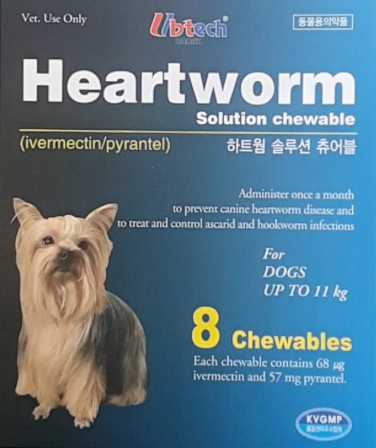  반려견 예방접종 시기 정리