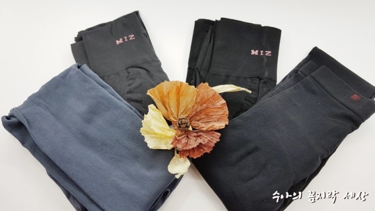  압박스타킹 :: 연일 신고 다니는 레그미인