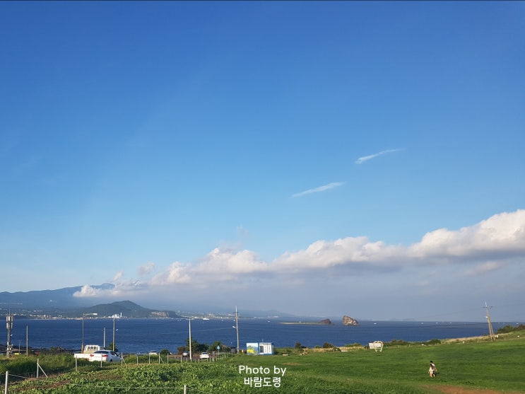 카페에서 쉬다가 온 것 밖에 없는 여름 제주도 여행 카페에서 쉬다가 온 것 밖에 없는 여름 제주도 여행