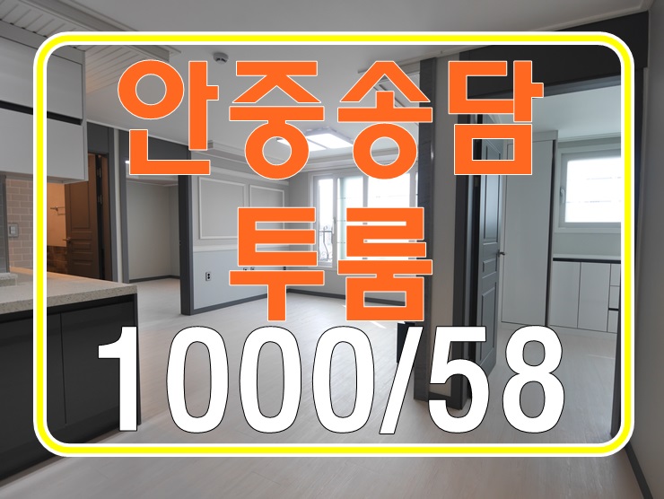 안중송담투룸 드디어 떳다 최신축 역대급 위치선정!