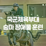 [HIM 리얼스케치] 국군체육부대 근대5종 승마 장애물 훈련