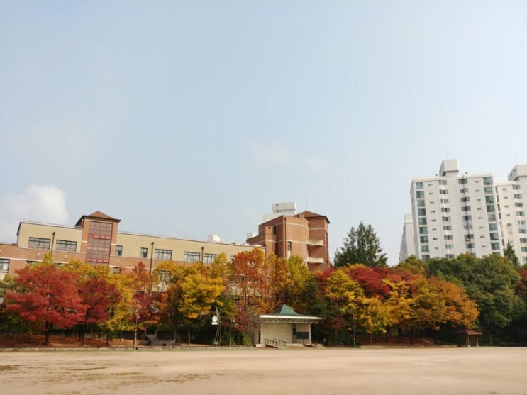  노해근린공원의 가을 중계동 운동하기 딱 좋은 노원구 산책로 노원구민체육센터 매점 커피 추천