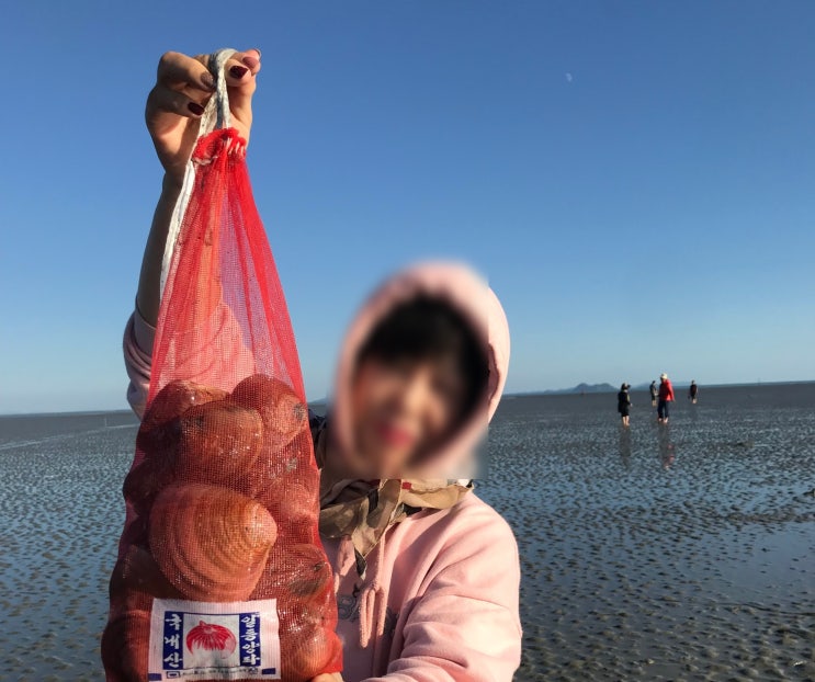  강화섬여행 볼음도 상합캐기