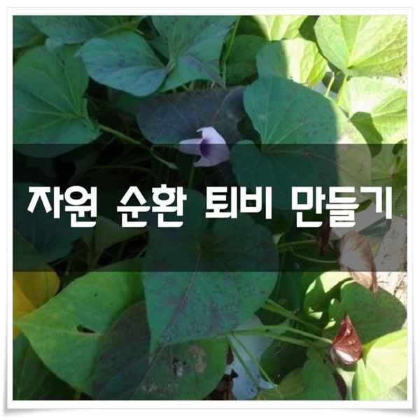  작물들 보살피고 쓰레기 자원 활용 퇴비 만들기