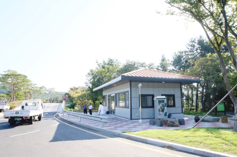 영남자동차운전전문학원 포항운전면허 요기서 합격