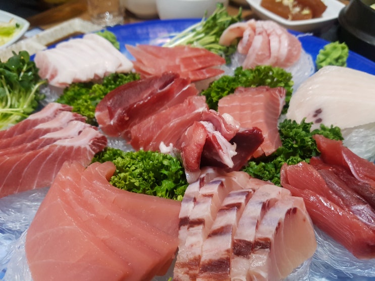  강서구청 근처 횟집 황제참치- 무한리필 참치 솔직후기