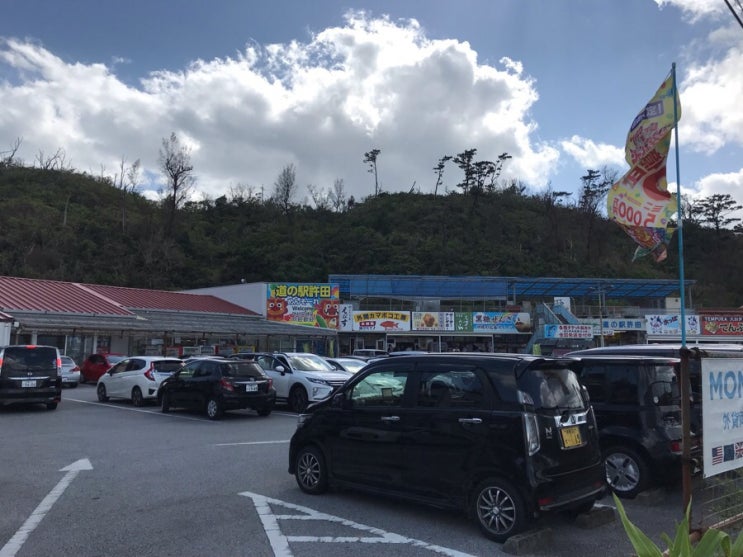  [일본 오키나와] 츄라우미 수족관 입장권 최저가 구입하기 + 쿄다 휴게소 + 츄라우미수족관 돌고래 쇼 시간