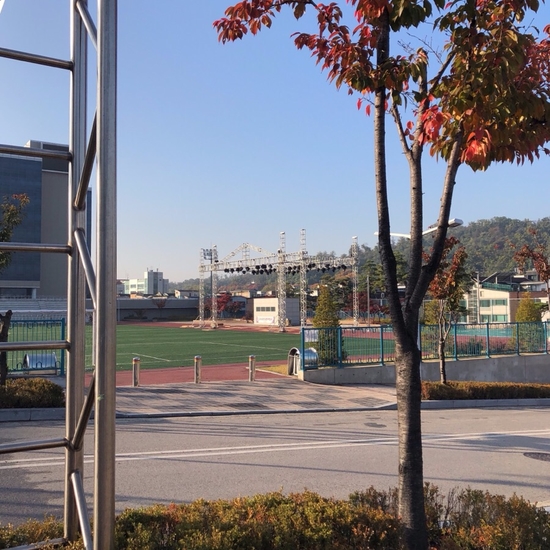  축제시즌이로구나-하