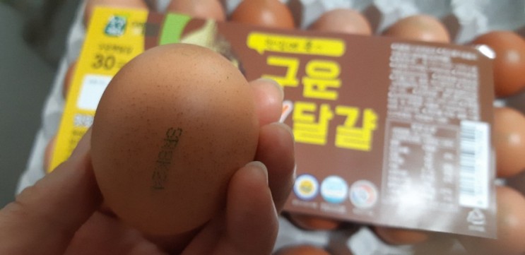 구운달걀~~~^^