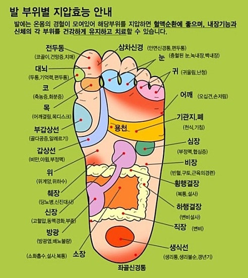 발 지압 건강을 위해서 좋아요. : 네이버 블로그
