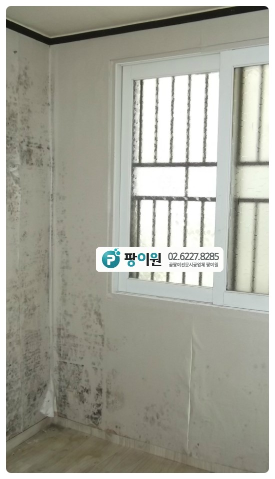  벽지 곰팡이제거 이후 또 생겨? 원인은 무엇?