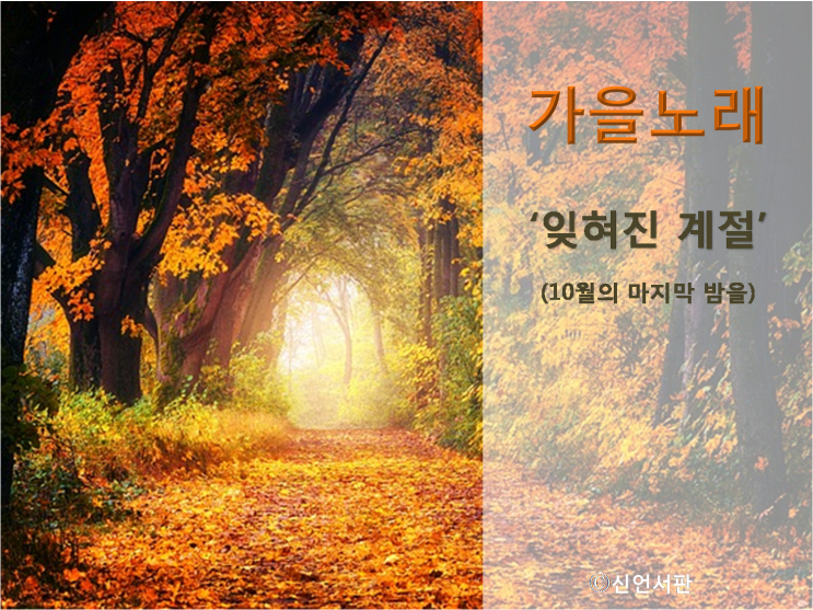  가을노래-이용 '잊혀진 계절'(10월의 마지막 밤을)