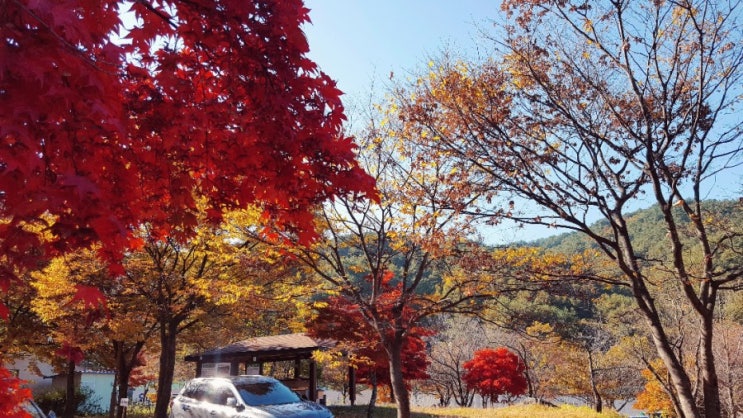  2018 단풍놀이 오대산국립공원 나들이 (등산x)