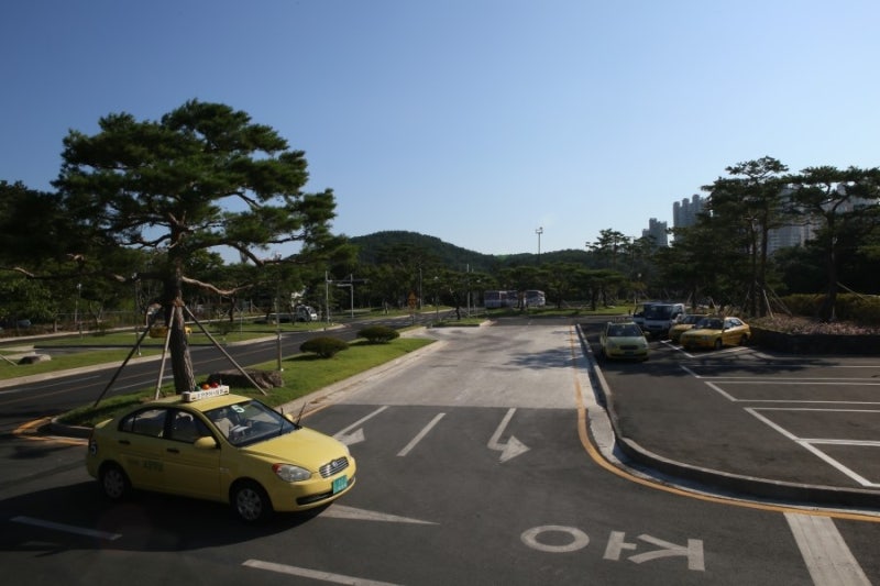 포항운전면허 영남자동차운전전문학원 체계적이고 안전하게