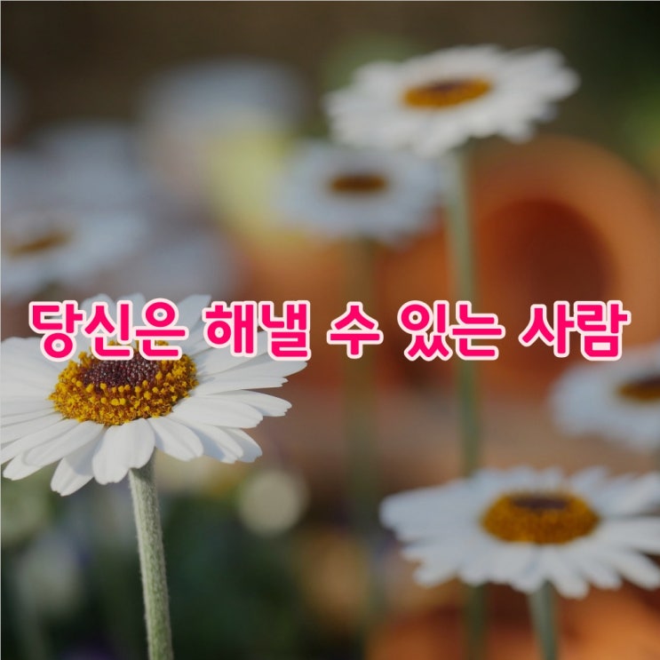  짧고좋은사랑글귀-[당신은 해낼수있는 사람]