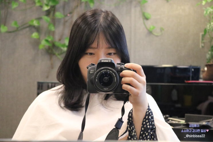  병점미용실 뮤헤어 미디움레이어드컷 후기 : 커트 잘하는곳 
