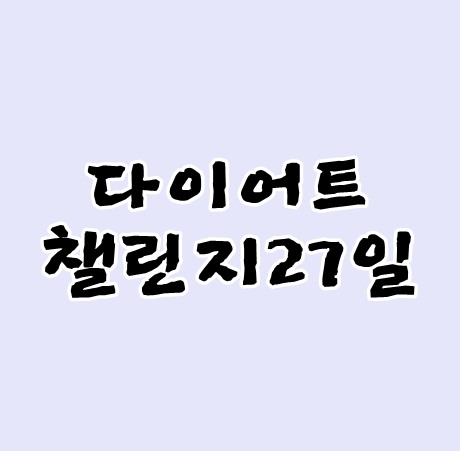 다이어트챌린지 27일 오늘까지 스트레칭만 