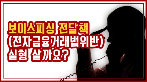  지식인 보이스피싱 전달책(전자금융거래법위반) 실형 살까요?