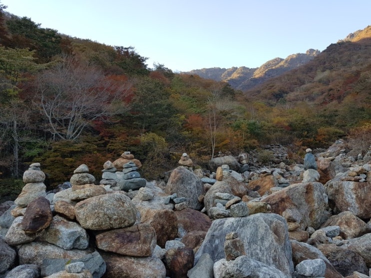  땅 수용, 현시가 토지 보상금 증액