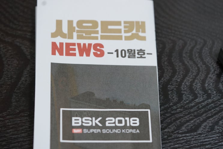 2018 BSK 행사 및 사운드캣 정보